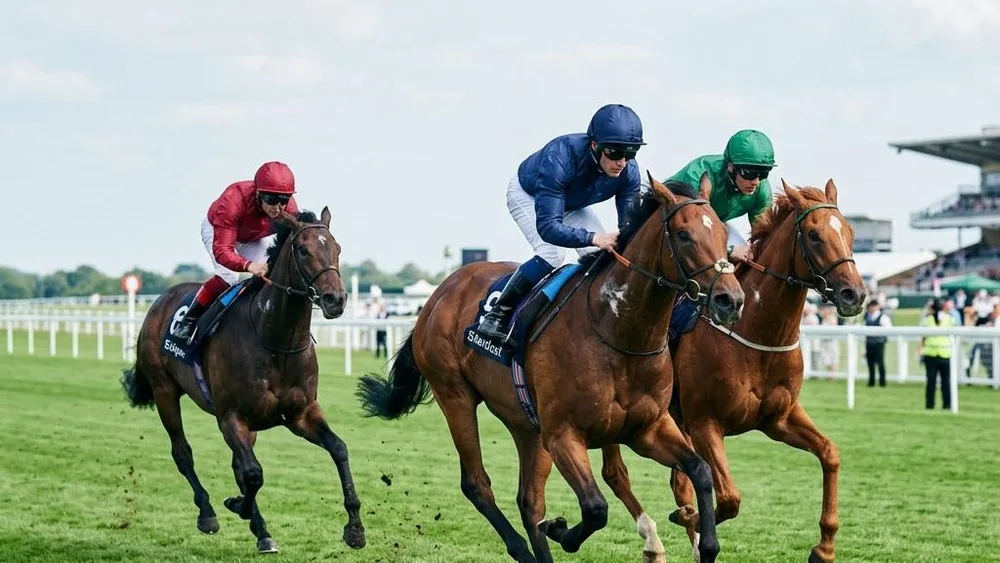 Editorial illustration of racehorses and jockeys galloping on a green turf racecourse